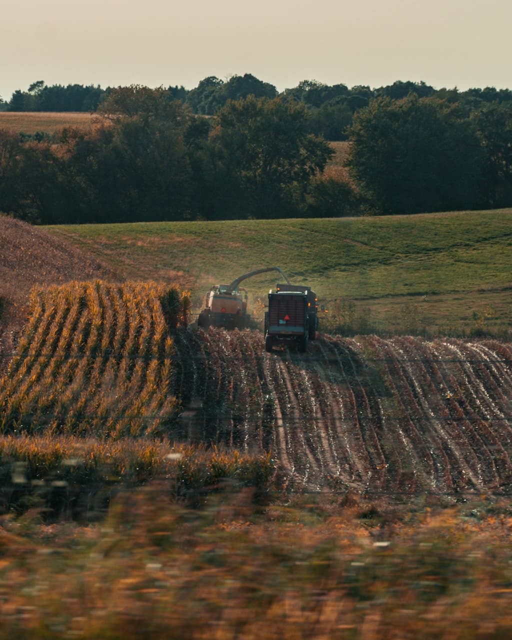 Tractor
